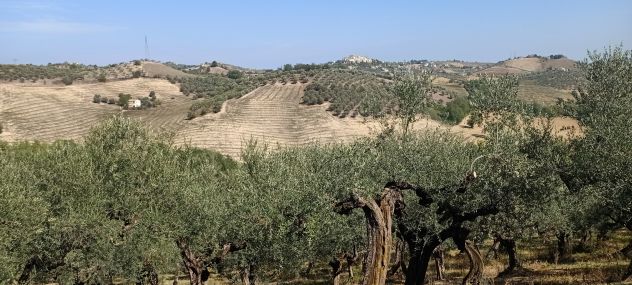 Terreno in vendita a Loreto Aprutino - Foto 3