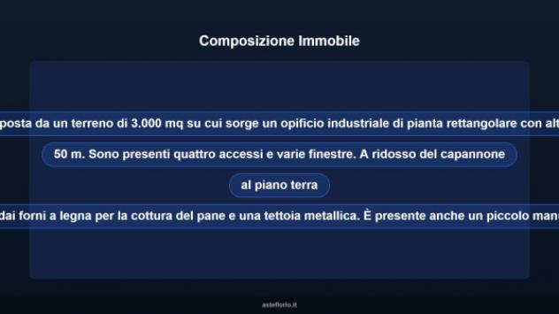 Immobile in asta di 3000 m² in vendita a Vallo della Lucania - Foto 10