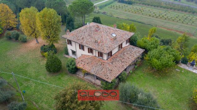 CALISESE di Cesena - VILLA in OTTIMO STATO con AMPIO PARCO PRIVATO ( 16.025 mq. ) - UNICA !! - Foto 15