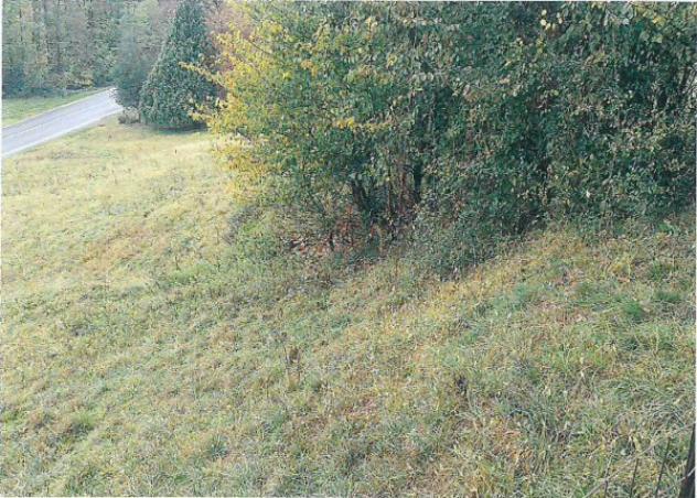 Immobile in asta di 317 m² con più di 5 locali e box auto in vendita a Sordevolo - Foto 16