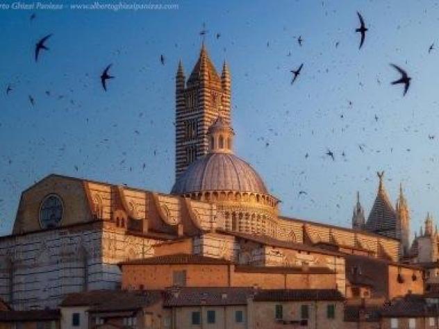 Appartamento in vendita a Siena 76 mq  Rif: 1427468
