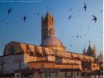 Appartamento in vendita a Siena 76 mq  Rif: 1427468