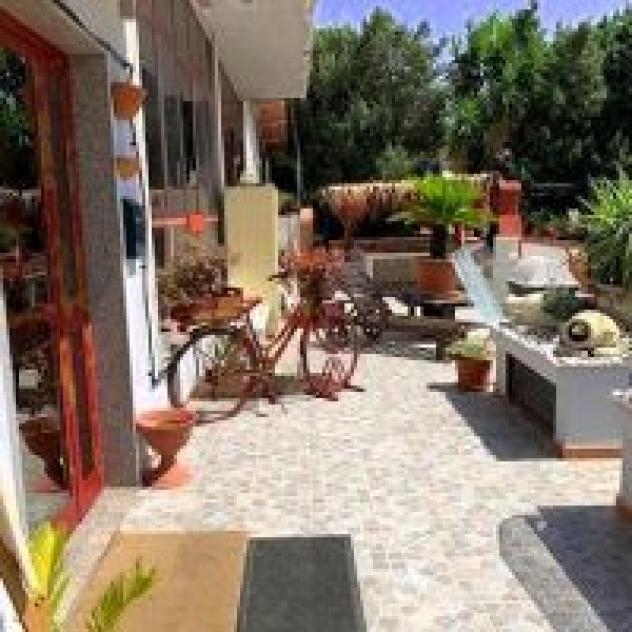 Mscamere - Foto 2