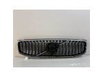 VOLVO S60 V60 19 Griglia del radiatore - 17735