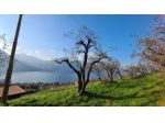 TERRENO AGRICOLO di 1 vani e di 30 mq (MONTE ISOLA) rif. 75450_869_342