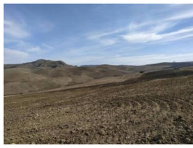 Immobile in asta di 4600 m² in vendita a Petralia Soprana - Foto 5