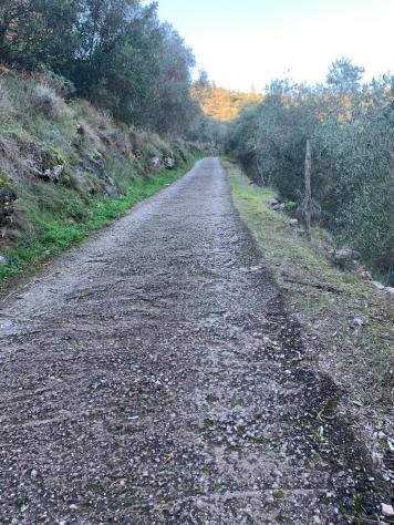 Rustico in vendita a Asciano - San Giuliano Terme 168 mq Rif: 1154110 - Foto 5