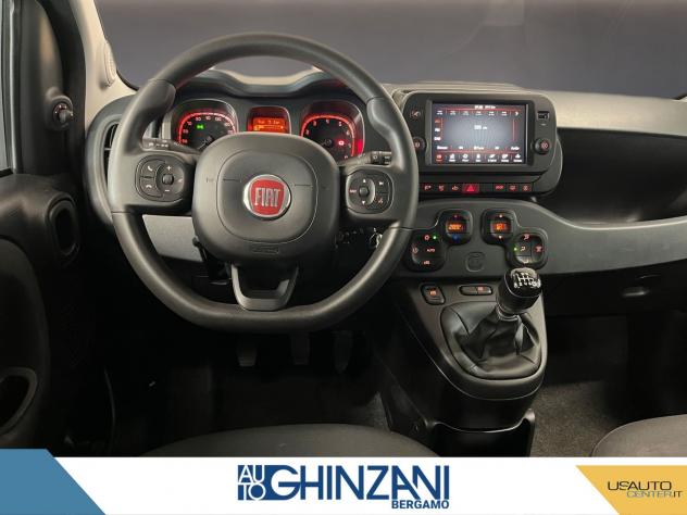 FIAT Panda Cross Panda Cross 1.0 FireFly S&S Hybrid - Foto 9