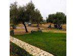 B&B LU ANTU