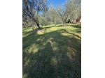 Villetta bifamiliare in vendita a Caniparola - Fosdinovo 140 mq  Rif: 1448885
