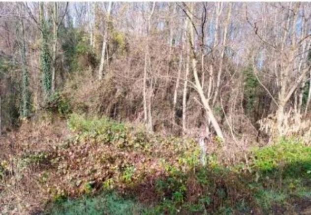 Immobile in asta di 11200 m² in vendita a Castello di Brianza - Foto 5