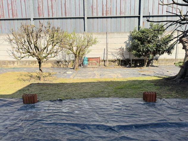 Terreno edificabile in vendita a Miradolo Terme - Foto 3