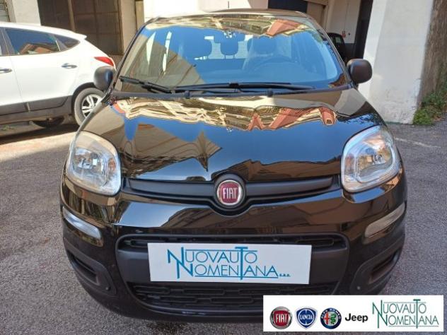 FIAT Panda Pandina 1.0 FireFly S&S Hybrid Icon 5°posto Km0 rif. 24003100 - Foto 5