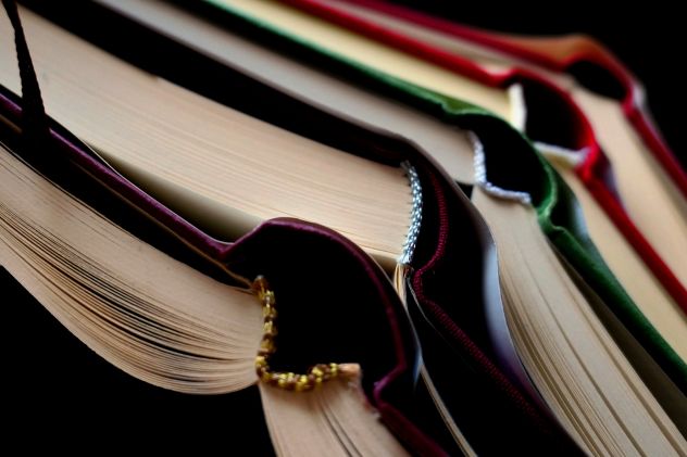 Consulenze/Revisione Tesi di Laurea Umanistiche - Foto 3