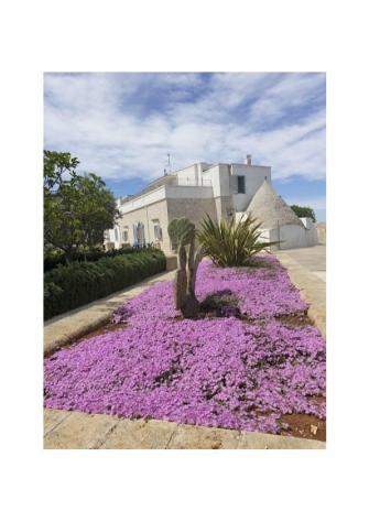 Masseria Poesia - Foto 12