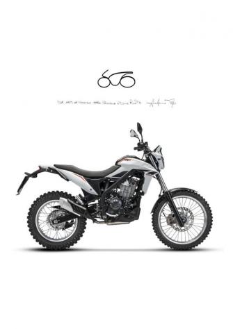 BETAMOTOR Alp X
