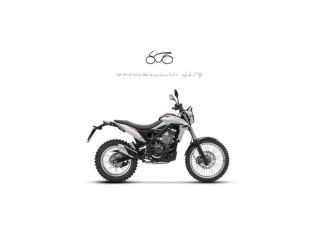 BETAMOTOR Alp X