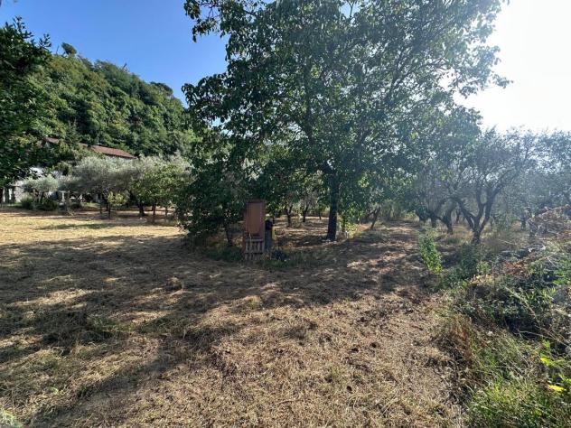 Terreno edif. residenziale in vendita a Isola - Luni 830 mq Rif: 1429047 - Foto 6