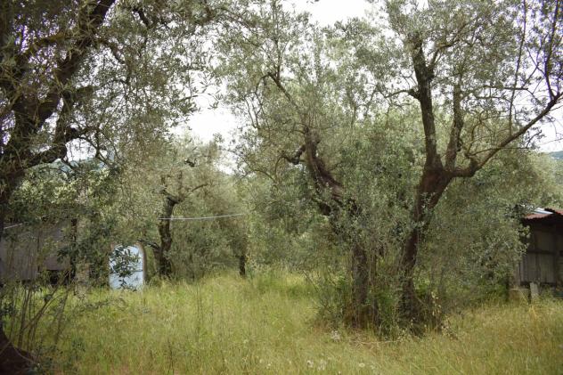 TERRATETTO di 7 vani e di 390 mq (LARCIANO - Cecina di Larciano) rif. L 140 - Foto 14