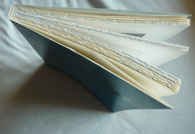 Fra' Giovanni Giocondo Architetto 1433 c.-1515 Neri Pozza Editore - Foto 2