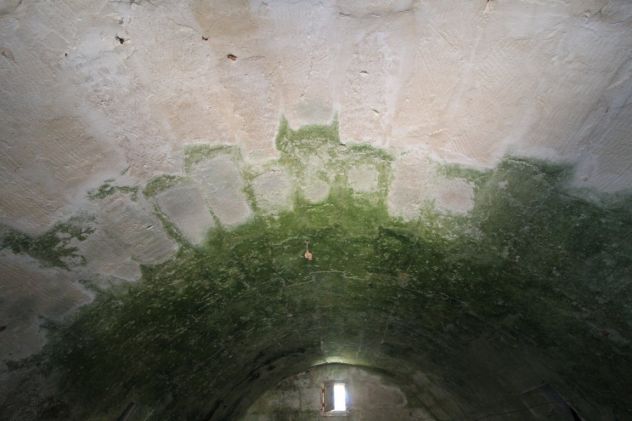 TERRENO CON TRULLO C.DA NEVIERA SAN MARZANO DI SAN GIUSEPPE - Foto 9