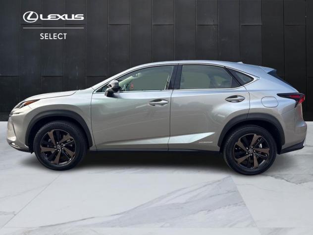 Lexus NX I 2018 300h 2.5 Premium 4wd cvt - Foto 6
