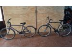 CITY BYKE "BOTTECCHIA"