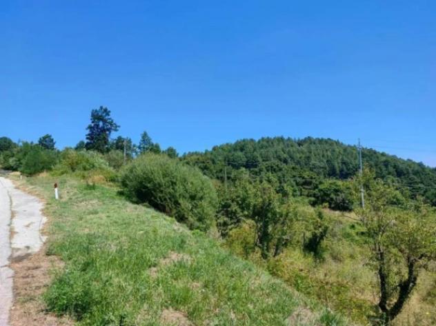 Immobile in asta di 10550 m² in vendita a Pietrabbondante - Foto 7
