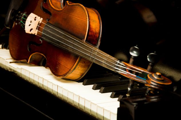 Violinista Bologna