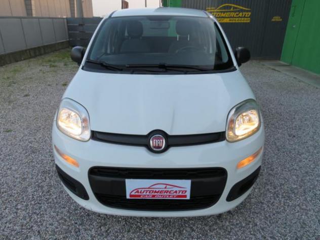 FIAT Panda 1.2 Easy S&S 1200 C.C. rif. 23513160 - Foto 3