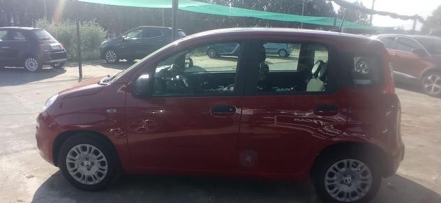 FIAT Panda 1.0 FireFly 70cv S&S Hybrid - Foto 5