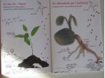 Un laboratorio per l'ambiente + un, due, tre...Fauna!