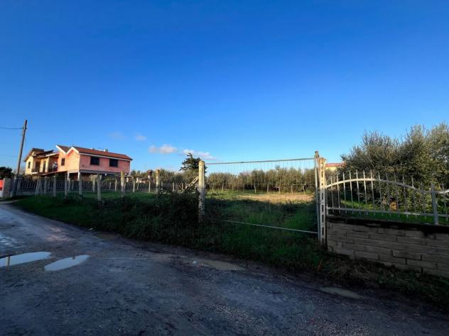 Terreno edificabile in vendita a Nettuno - Foto 4