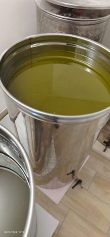 Olio extravergine di oliva senza insetticidi artigianale Abruzzo annata 2023