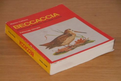Beccaccia, Matteo Califano, Editoriale Olimpia 1971. - Foto 4