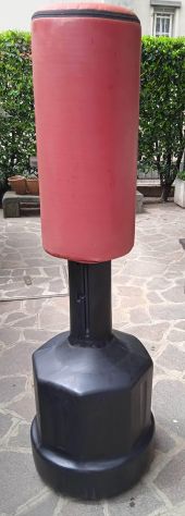 Pungiball da terra - Foto 2