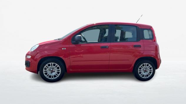 FIAT Panda 1.2 Easy s&s 69cv my19 - Foto 3