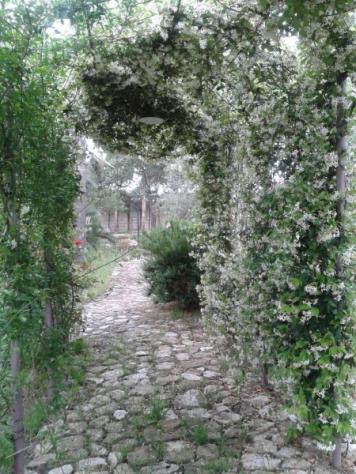 Autentica Masseria Salentina con oltre 4.600 mq di Terreno – Arnesano (Lecce) - Foto 9