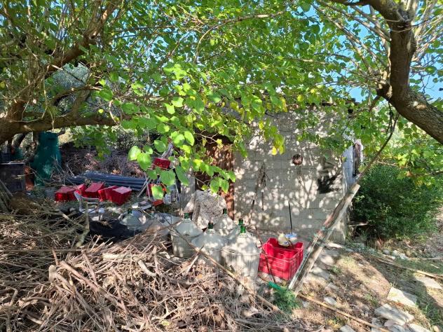 Agricolo in Via Alberto Moravia - Foto 9