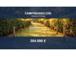 Immobile in asta di 10000 m² in vendita a Campobasso