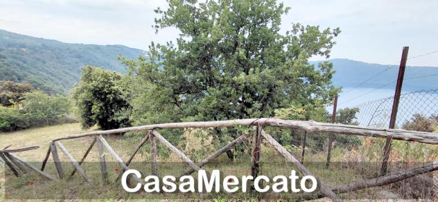 Agricolo in vendita a Rocca di Papa - Foto 10