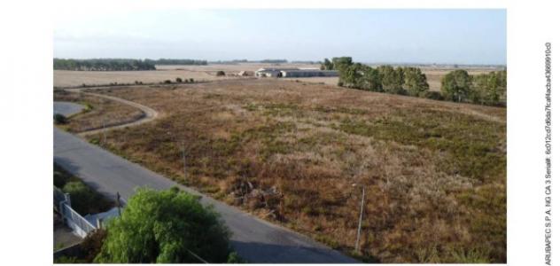 Immobile in asta di 3500 m² in vendita a Siamaggiore - Foto 2
