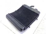 APRILIA SCARABEO ROTAX 125 RADIATOR ACQUA LIQUIDO RAFFREDDAMENTO MOTORE 1999