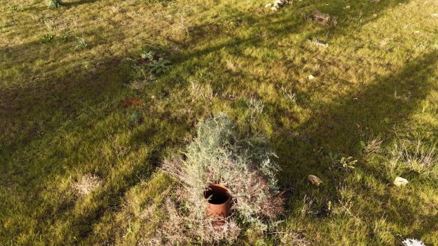 Terreno in vendita a Caltagirone - Foto 11