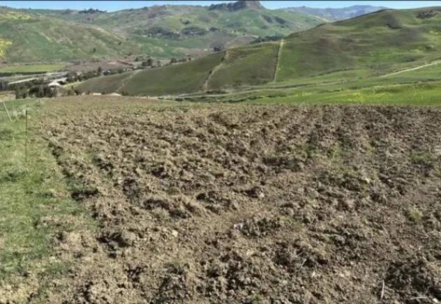 Immobile in asta di 31288 m² in vendita a Castronovo di Sicilia - Foto 4