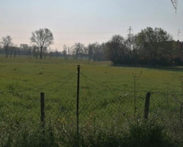 Immobile in asta di 54470 m² in vendita a Parma - Foto 2