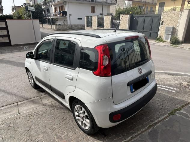 FIAT Panda Panda 1.2 EASY GPL - Foto 4