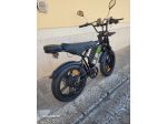 Vendo Bici Elettrica Sella Lunga Leo Wang Orso Bruno Fat Bike