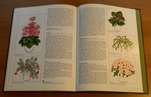 Piante fiorite d'appartamento, Mondadori - Foto 3