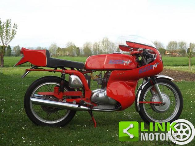MV AGUSTA Altro 350 Sport Bicilindrica con carena omologata